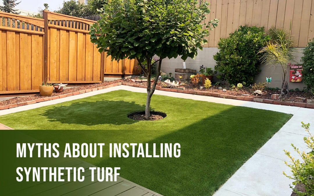 Installing Synthetic Turf in Virginia Around Trees? Don’t Believe These Myths